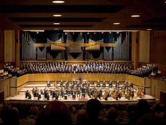 220  01 May 2017 photo by Ash Mills